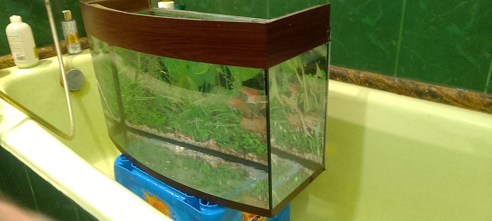 Продам аквариум на 38л с выпуклым стеклом