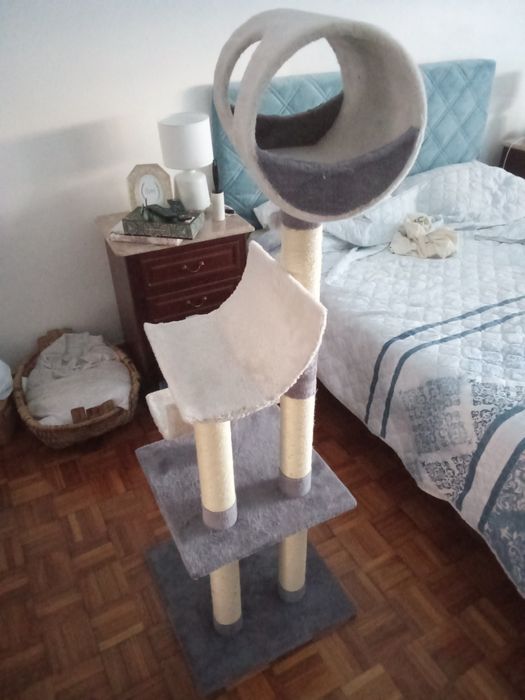 Arvore de gato (muito pouco usada)