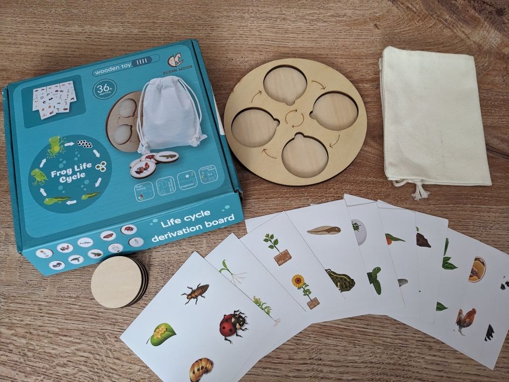 Cykl rozwojowy/cykle rozwojowe/taca z cyklami/Montessori