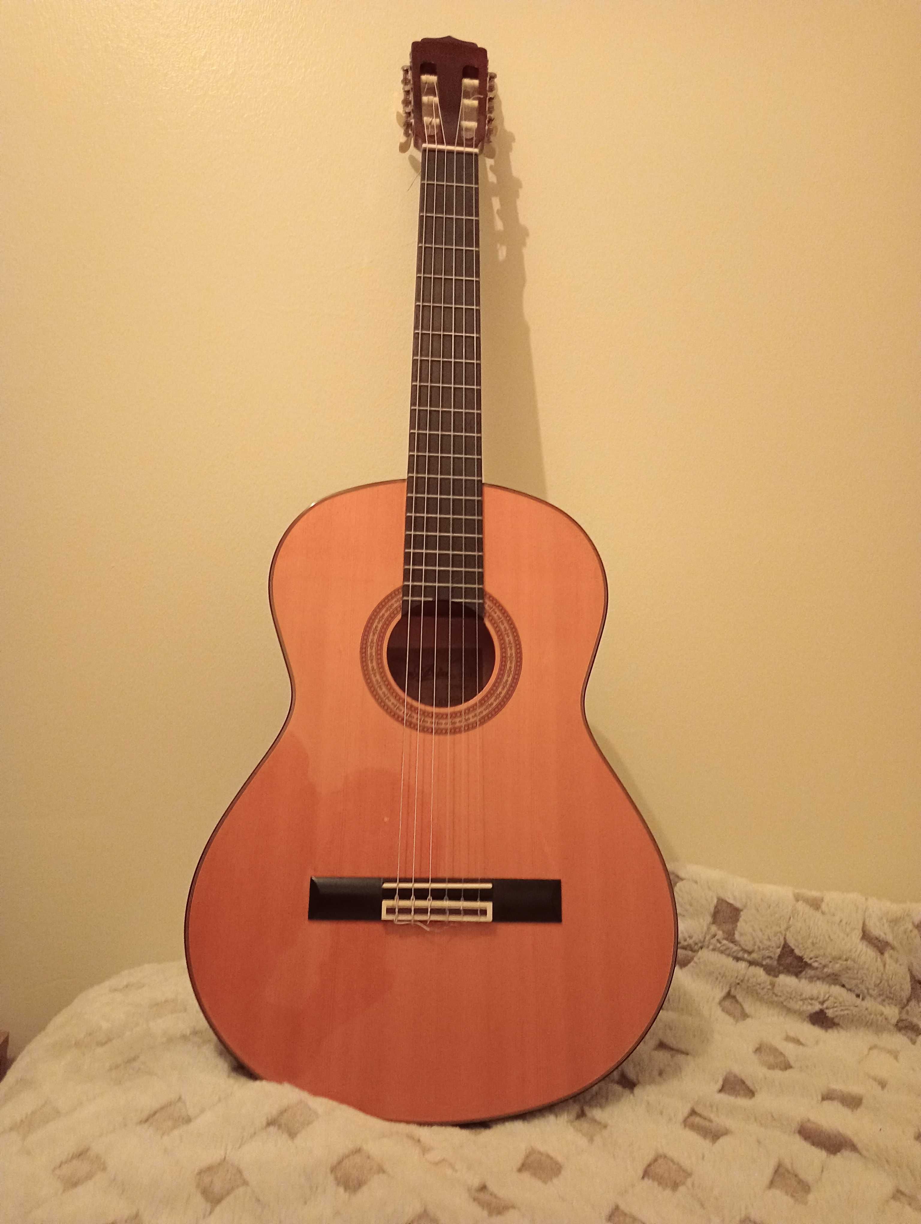 Guitarra Aria Ak-20