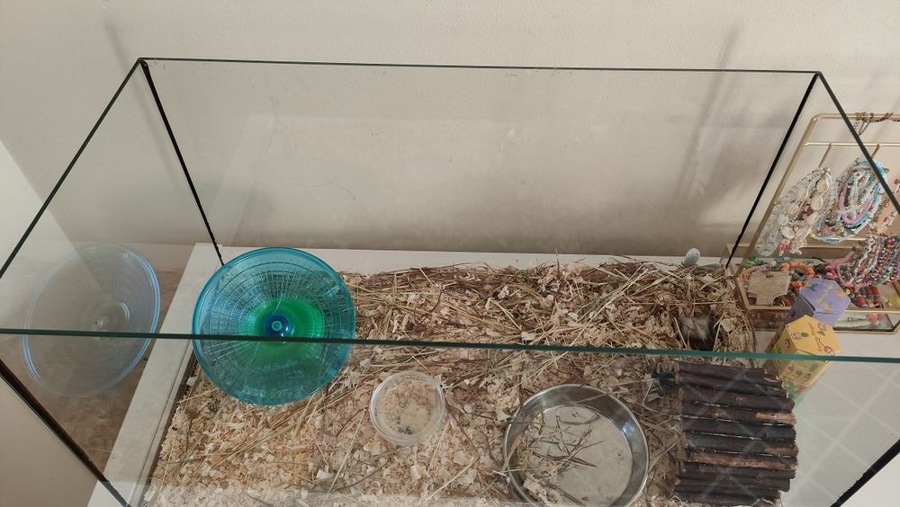 Akwarium dla chomika