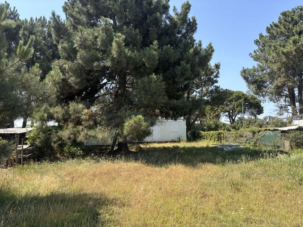 Terreno rustico 599 m2