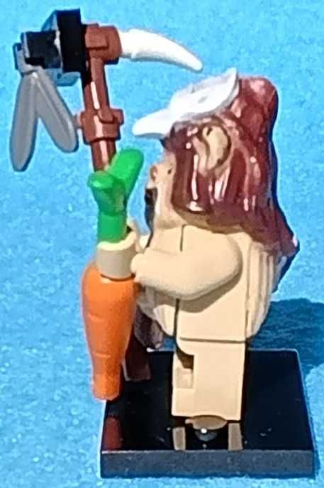 Logray Ewok (Star Wars)