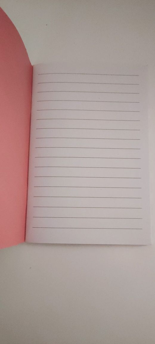 Notesik nowy w linię