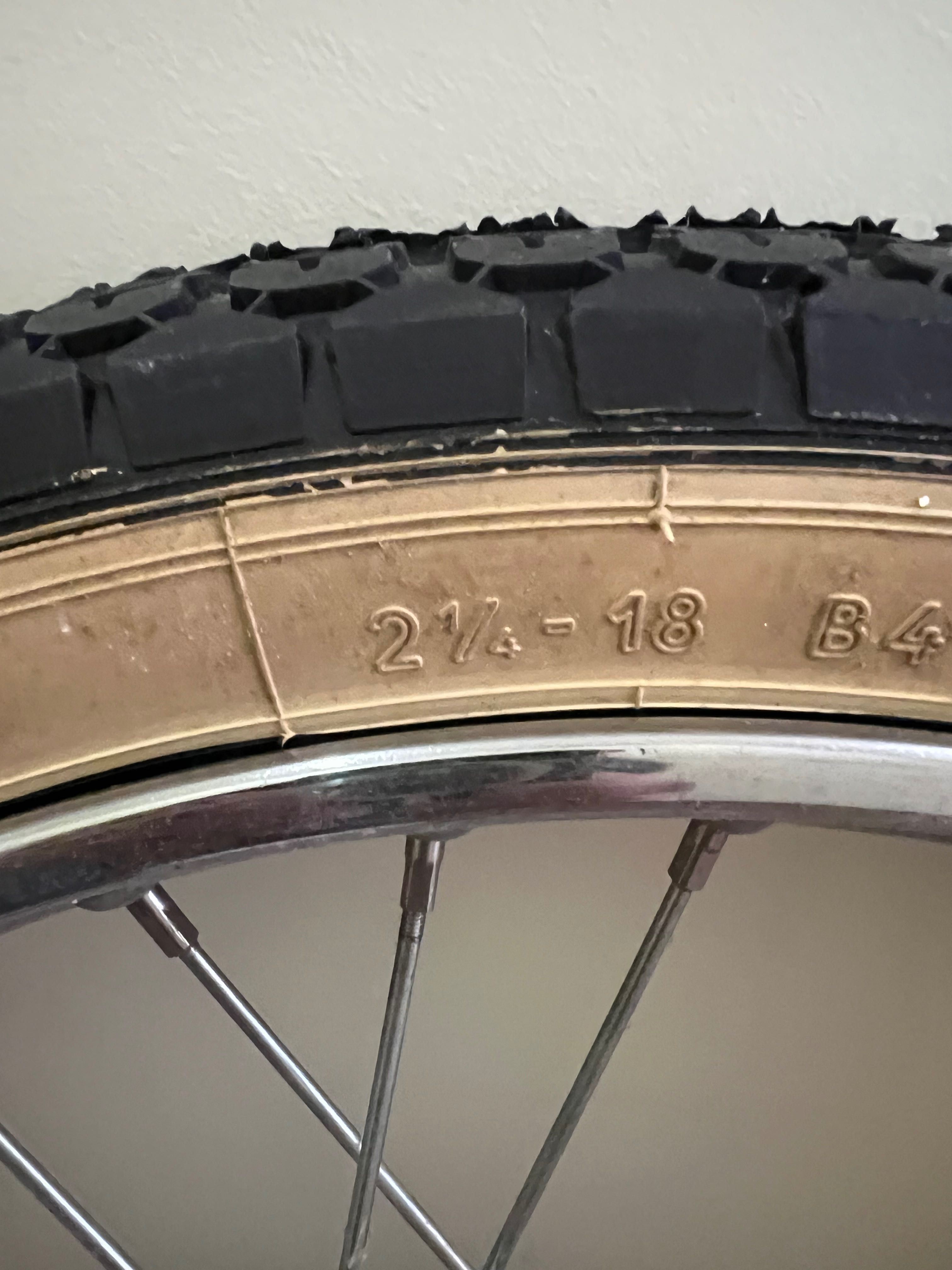 Rodas sachs minor