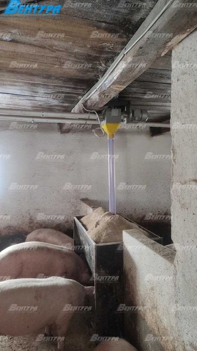 Свиноферма під ключ. Годування, вентиляція, поїння, мікроклімат