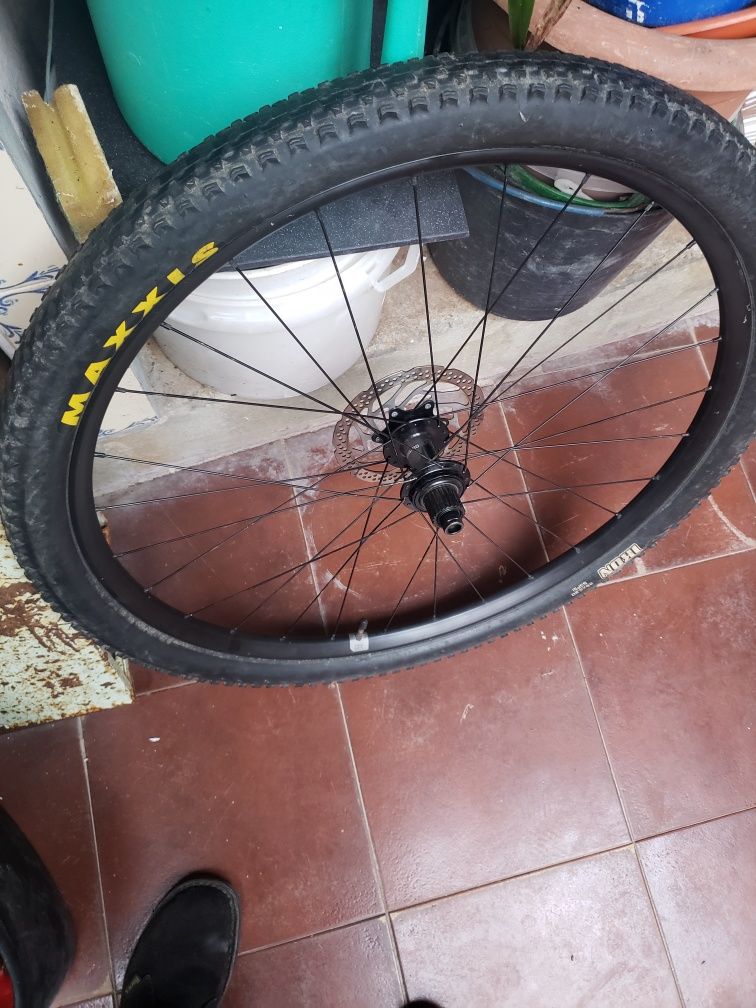 Roda 29 completa