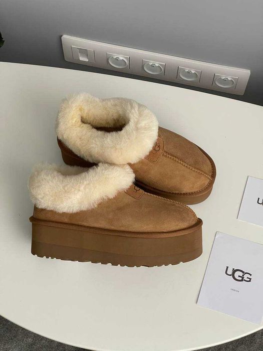 Женские сапоги UGG Coquette Platform Chestnut 36-41 Натур Замша! Хит!