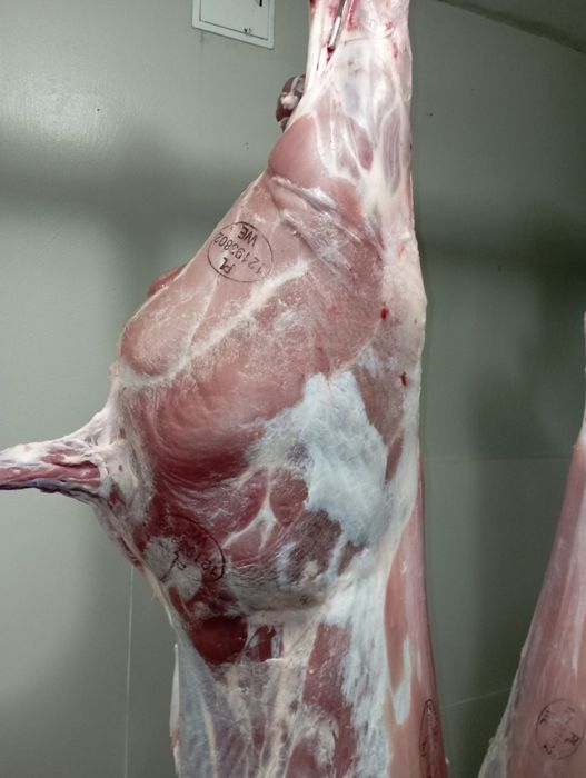 Wołowina, cielęcina, podroby, kości , wieprzowima, pieczone prosie