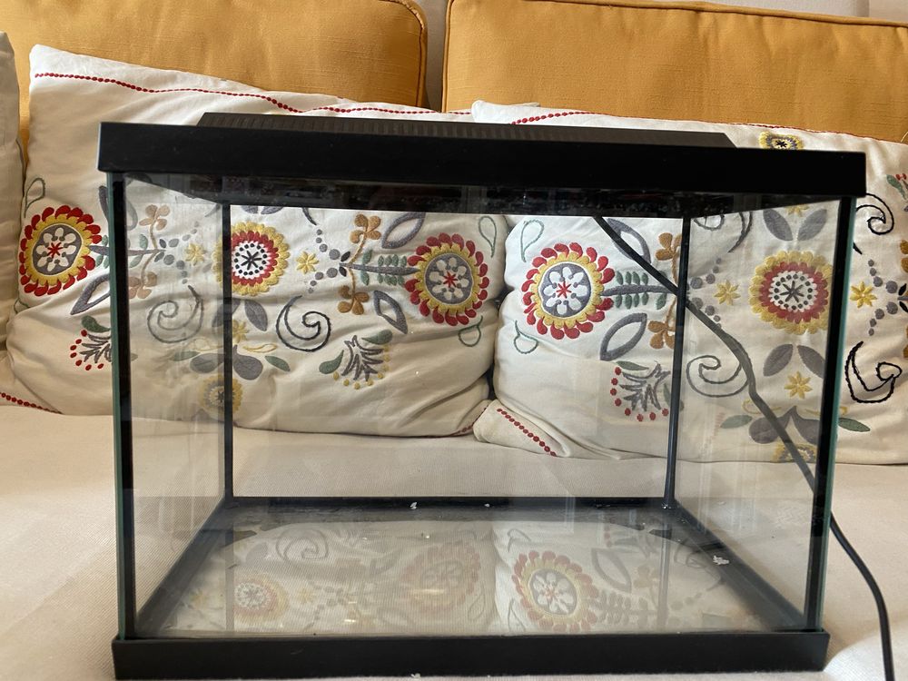 Aquario mais lampada