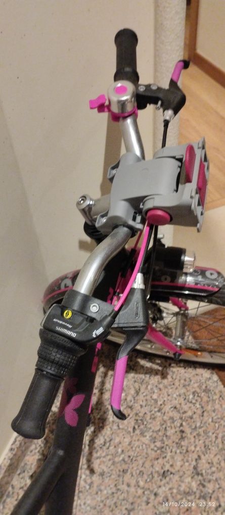 Bicicleta roda 24