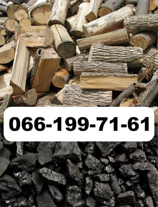 Продам дрова твердих та м'яких порід та вугілля!!!