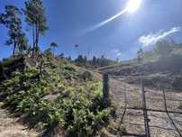 Terreno em Travanca de 24500,00 m2