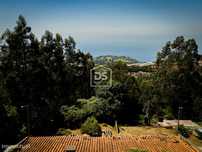 Herdade  Venda em Camacha,Santa Cruz
