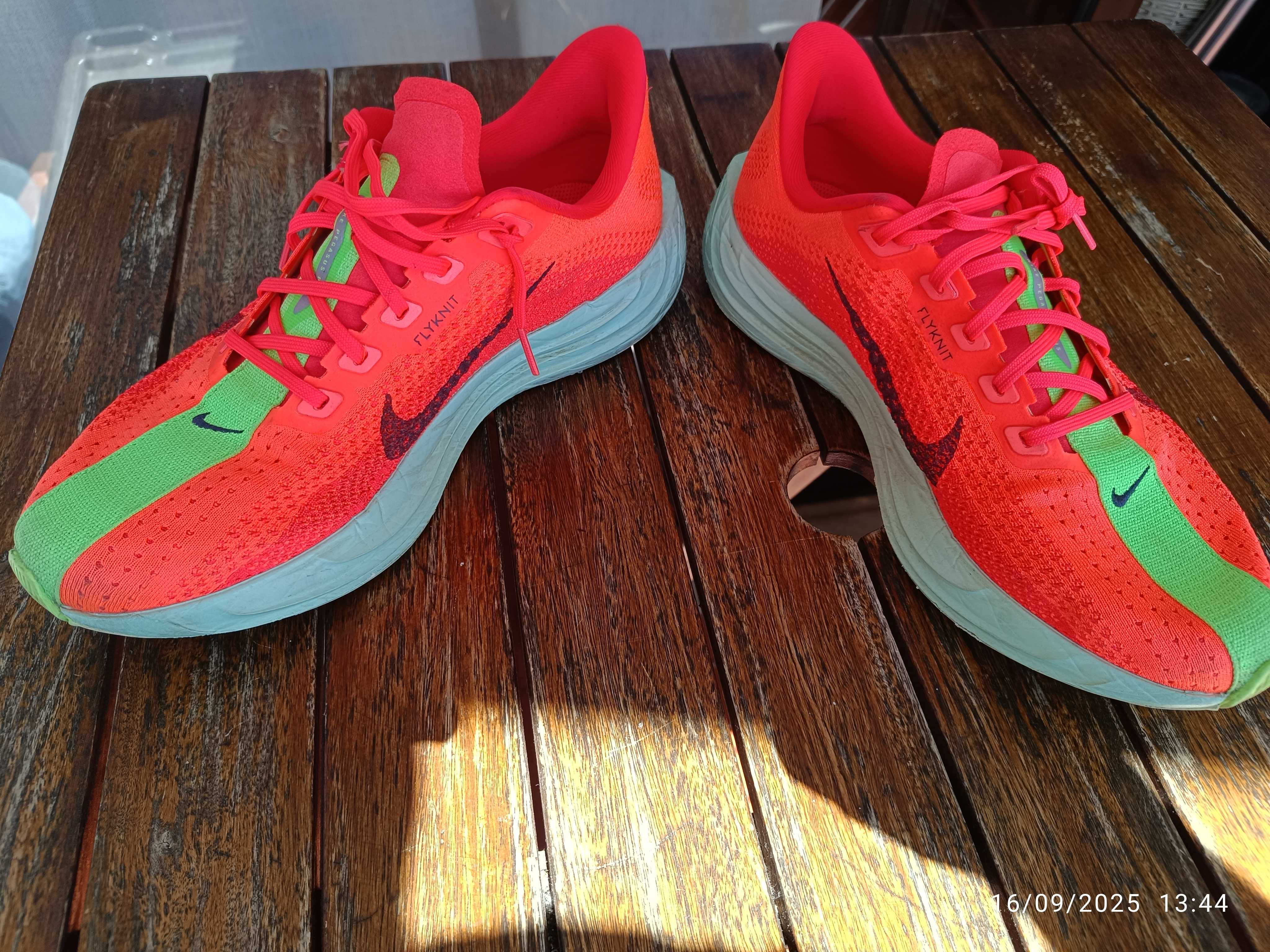 Nike Pegasus Plus