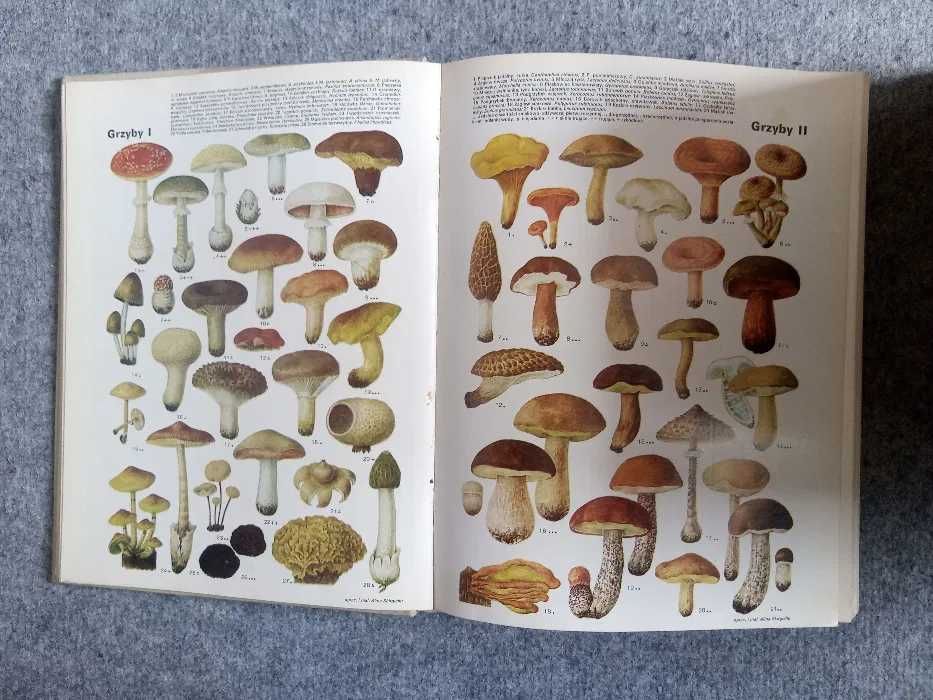 PRL Encyklopedia Powszechna PWN, 1973, 4 TOMY
