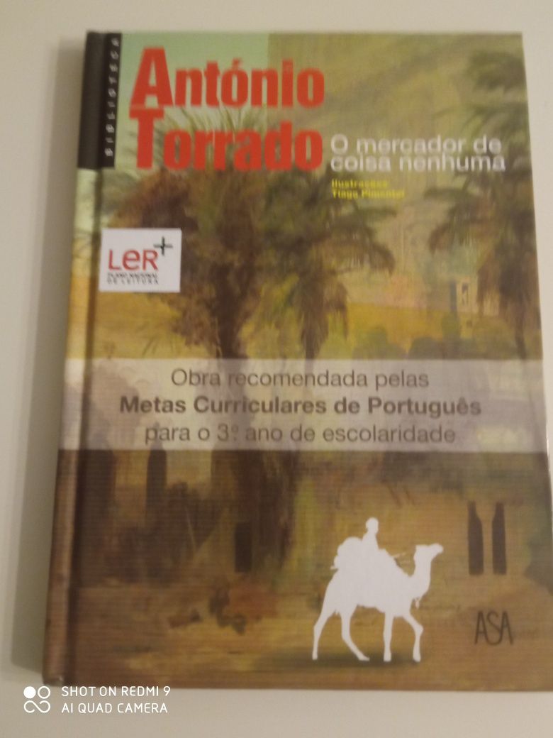 Livro o mercador de coisa nenhuma