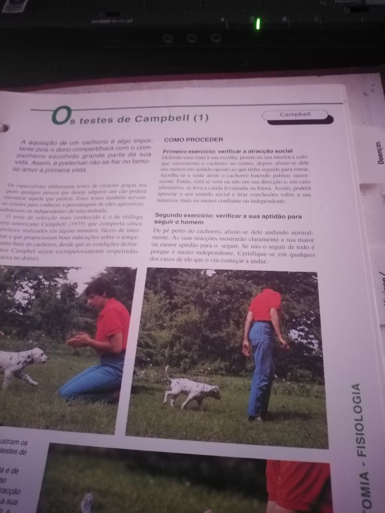 Conhece o seu cão?