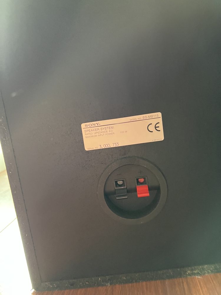 Coluna SONY 100w