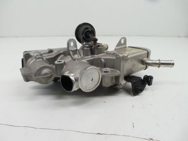 Válvula EGR RENAULT Grand Scénic III (JZ0/1_)