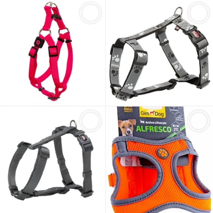 Шлея для собак анатомічна