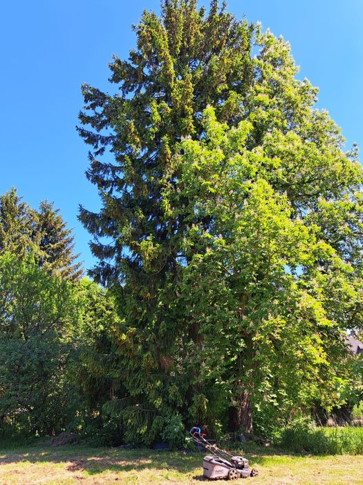 MIESZKANIE (do remontu) i DZIAŁKA 20 arów z możliwoscią ZABUDOWY