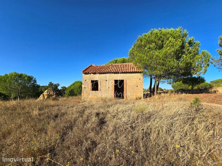 Terreno Na Ota Com 3,23Ha