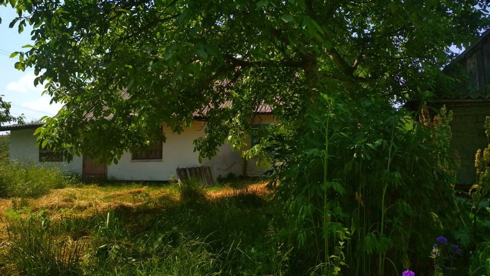 Продам ділянку з будинком