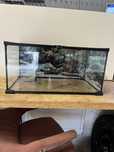 Sprzedam terrarium