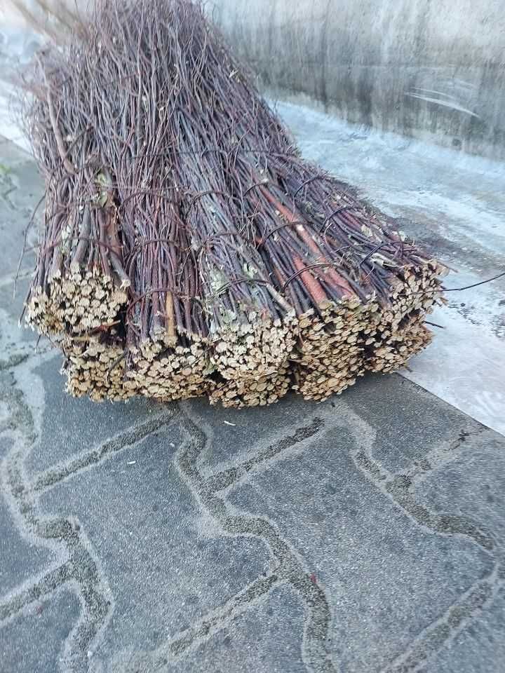Miotła brzozowa Miotły brzozowe