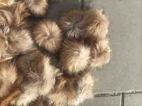 Pompon z Jenota naturalnego