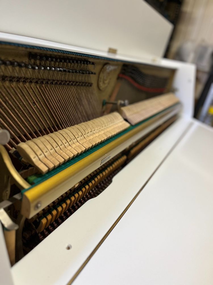 Pianino calisia M-105