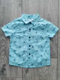Niebieska bawełniana koszula rozmiar 74 w kotwice z krótkim rękawem