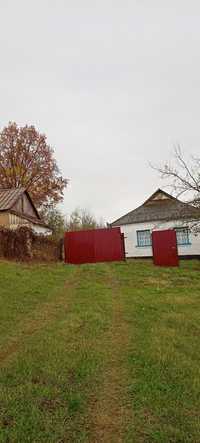 Продам хату в с. Лісовичі Таращанського району Київської області.