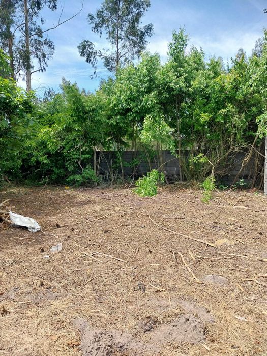 Terreno rústico com capacidade construtiva