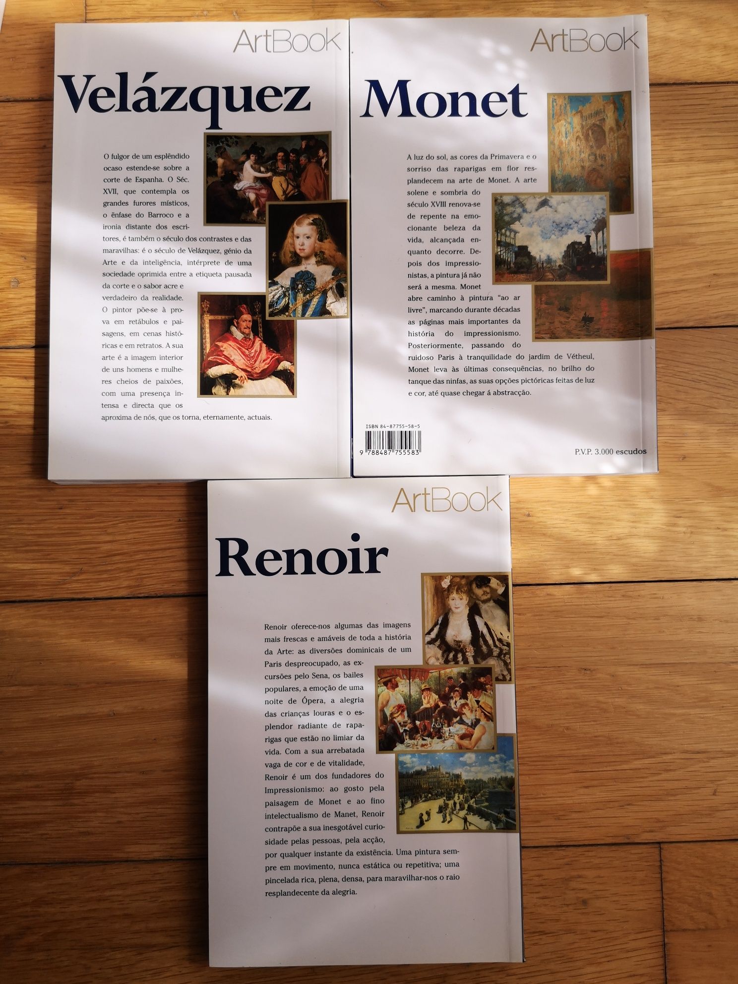 Artbook Pintura - Picasso, Renoir, Leonardo, Gaugin, Van Gogh, etc