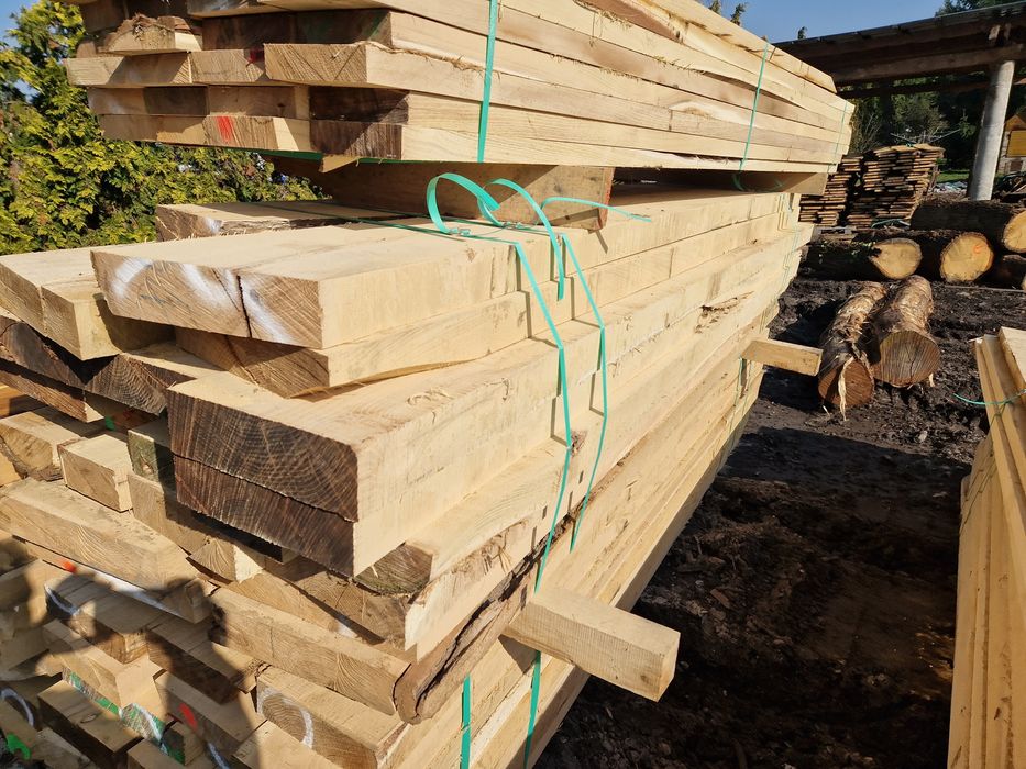 Belki /Tarcica Akacjowa/Dębowa