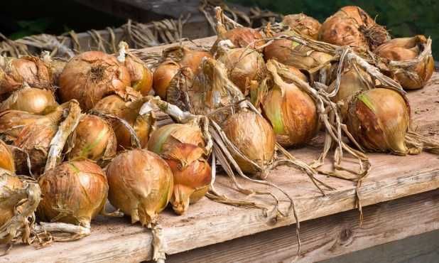 BATATAS E CEBOLAS entregas zona de Lousada e arredores