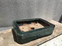 Vasos bonsai para venda