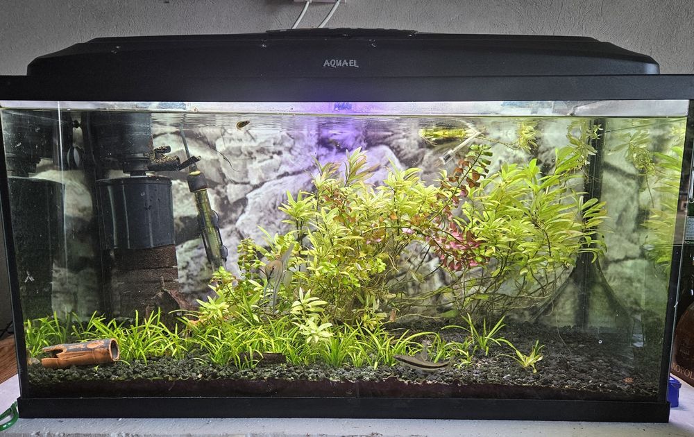 Akwarium 120 litrów