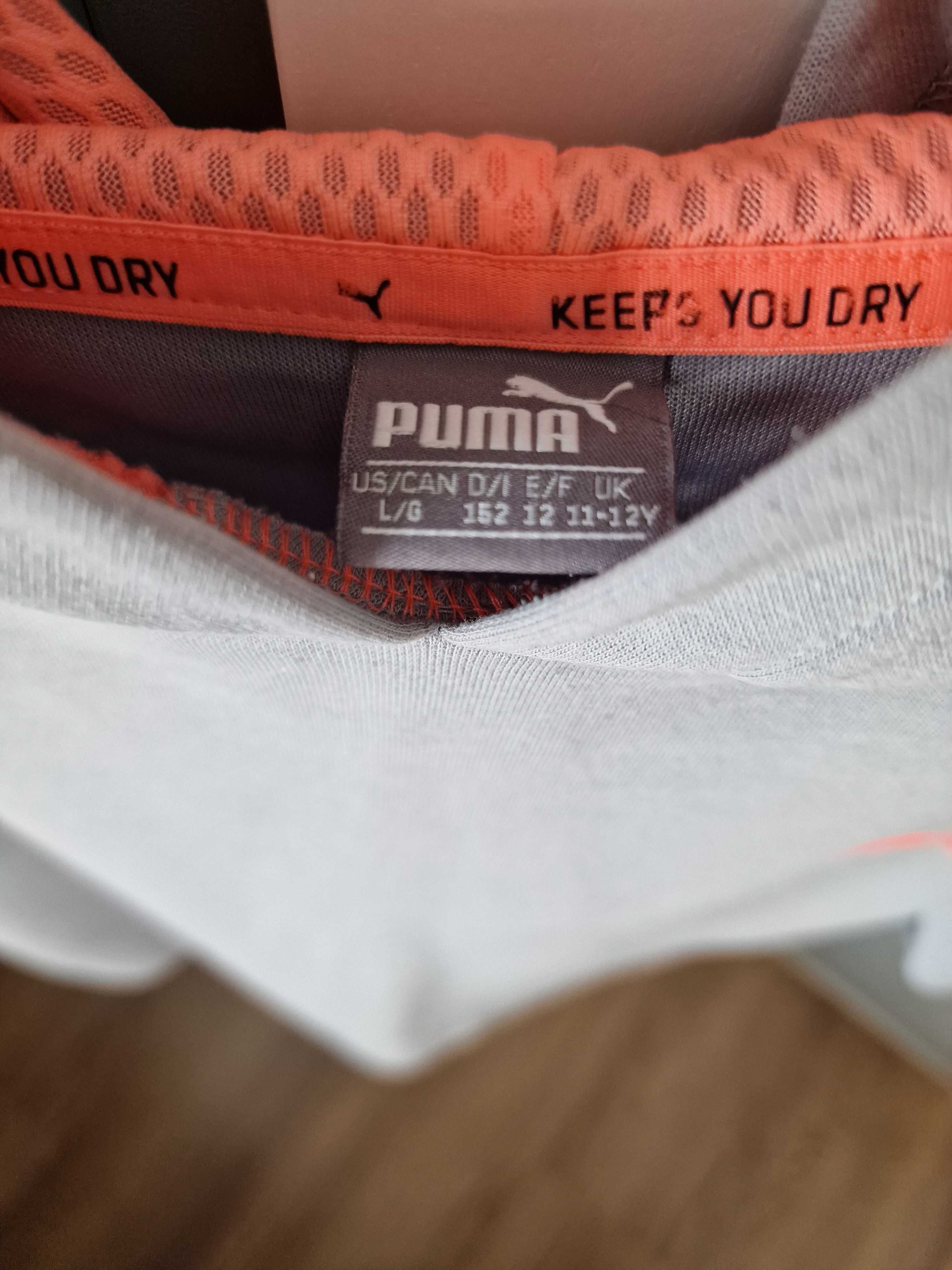 Szara bluza Puma