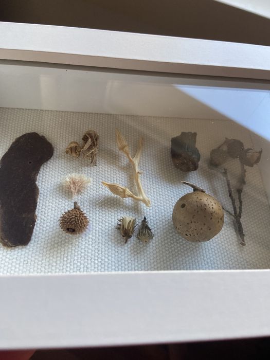 Quadro elementos naturais