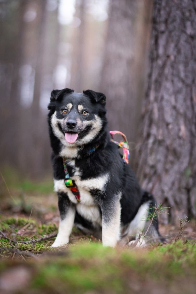 Drobniutka Nana do adopcji!