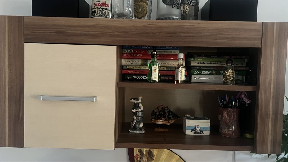 Zestaw mebli do salonu