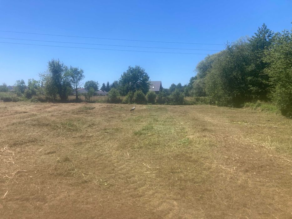 Karczowanie, czyszczenie działek, mulczer leśny usługi, wycinka drzew,