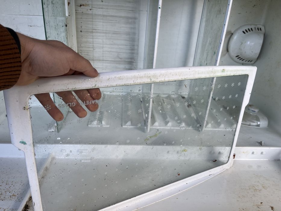 Полки холодильника