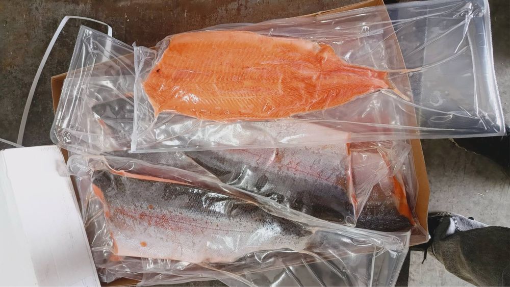 Продам філе сьомги,форелі