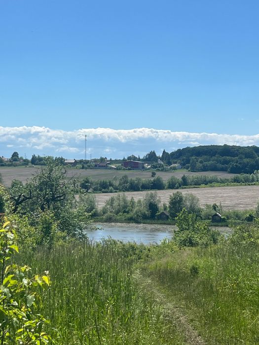Земельна ділянка (пай)