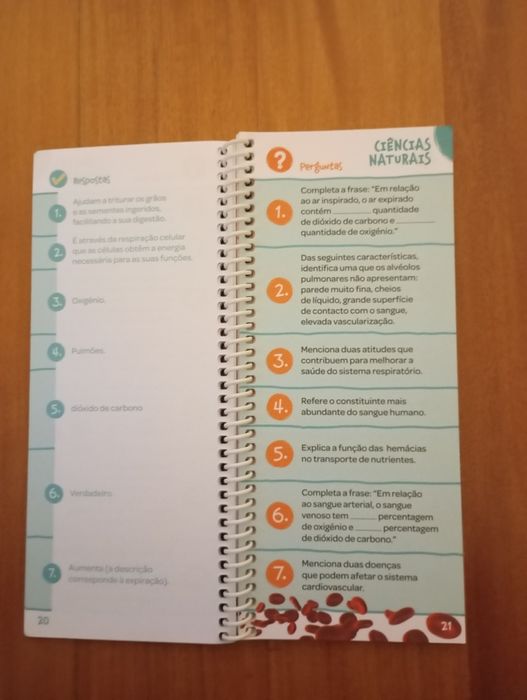 Livro- sabes tudo na ponta da língua?