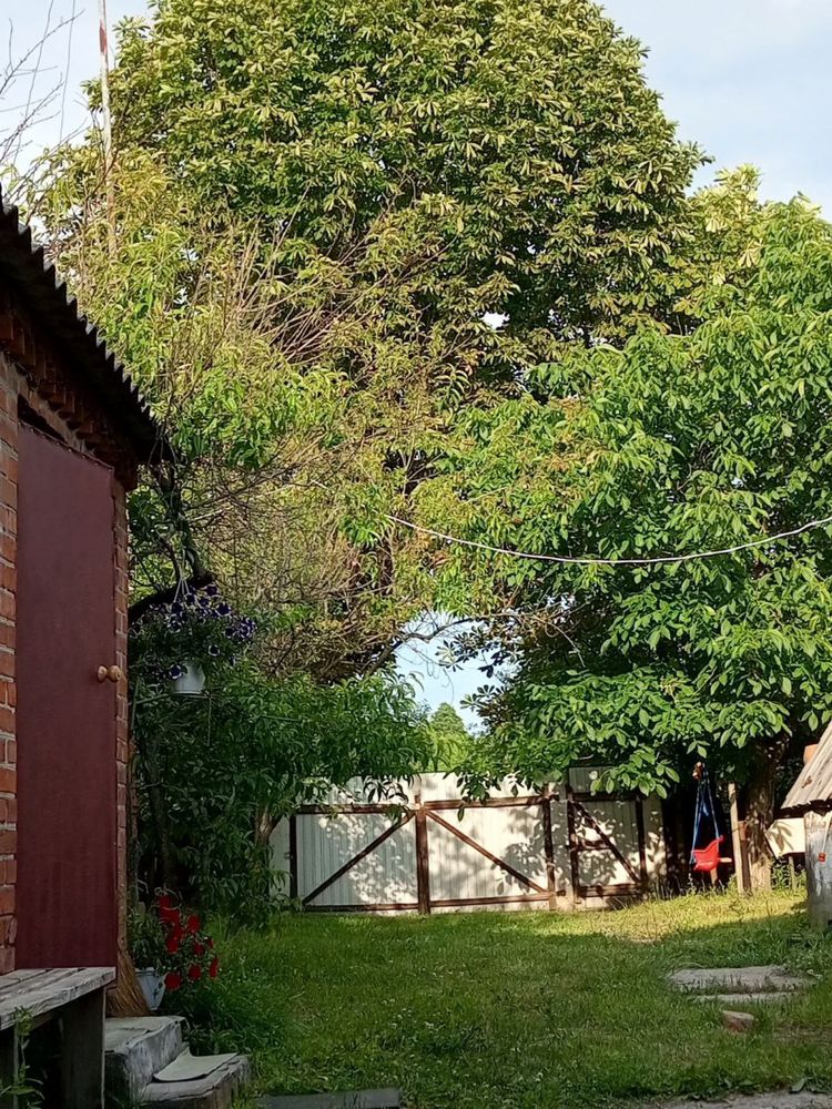 Будинок. СЕРТИФІКАТ. Київська обл. Іванківський р-н. будинок. Бу